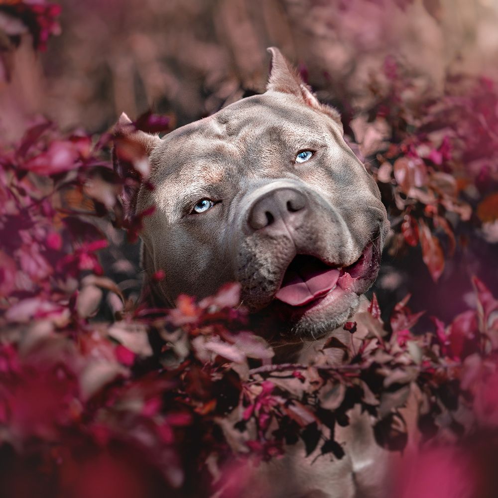 Фотография автора Оксана Серова