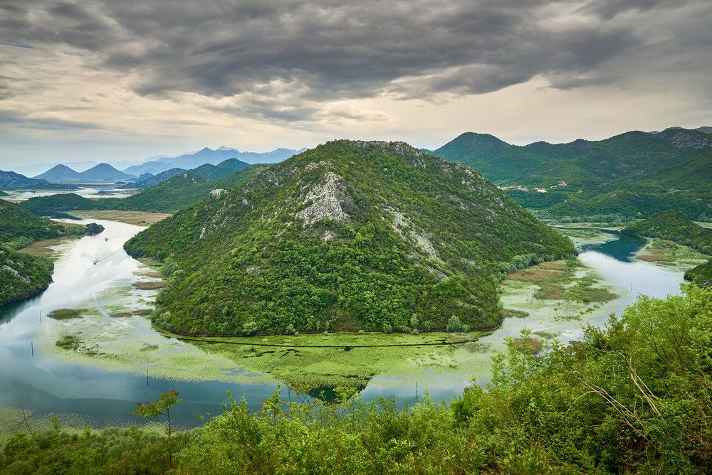 Photograph by David Solodar