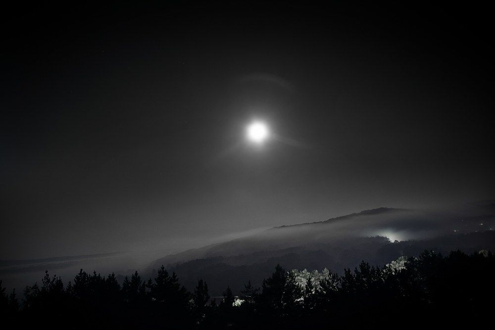 Photograph by Елена Ласун