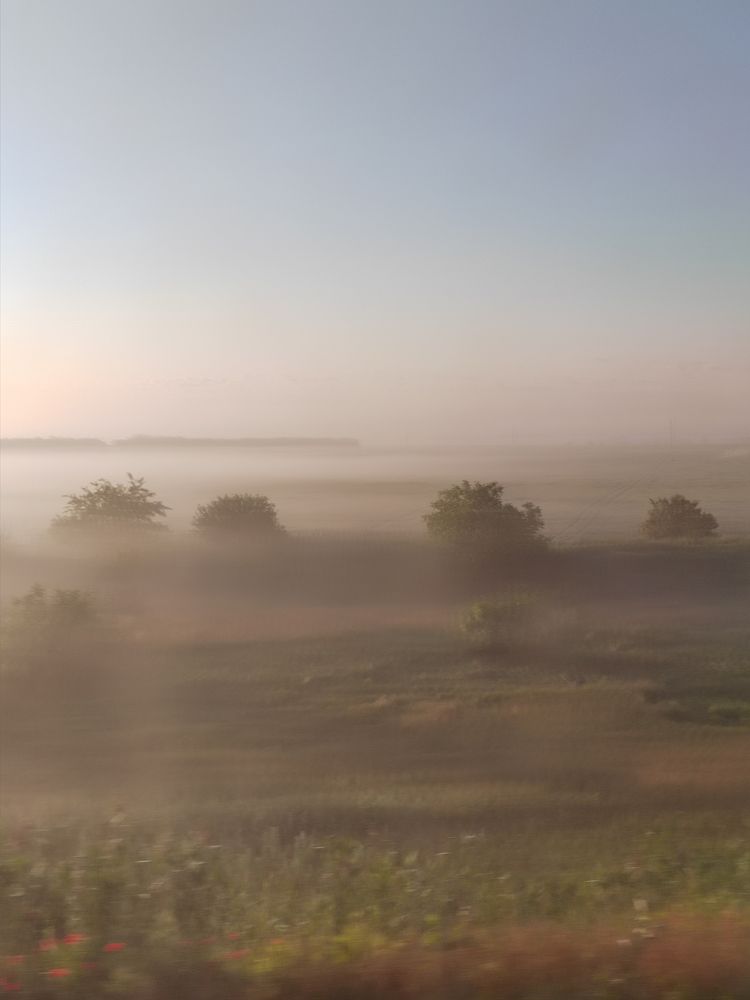 Photograph by Marina