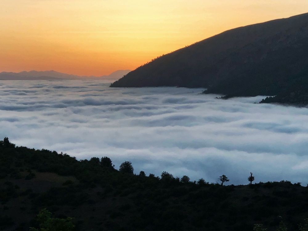 Photograph by Masoumeh Rahimi