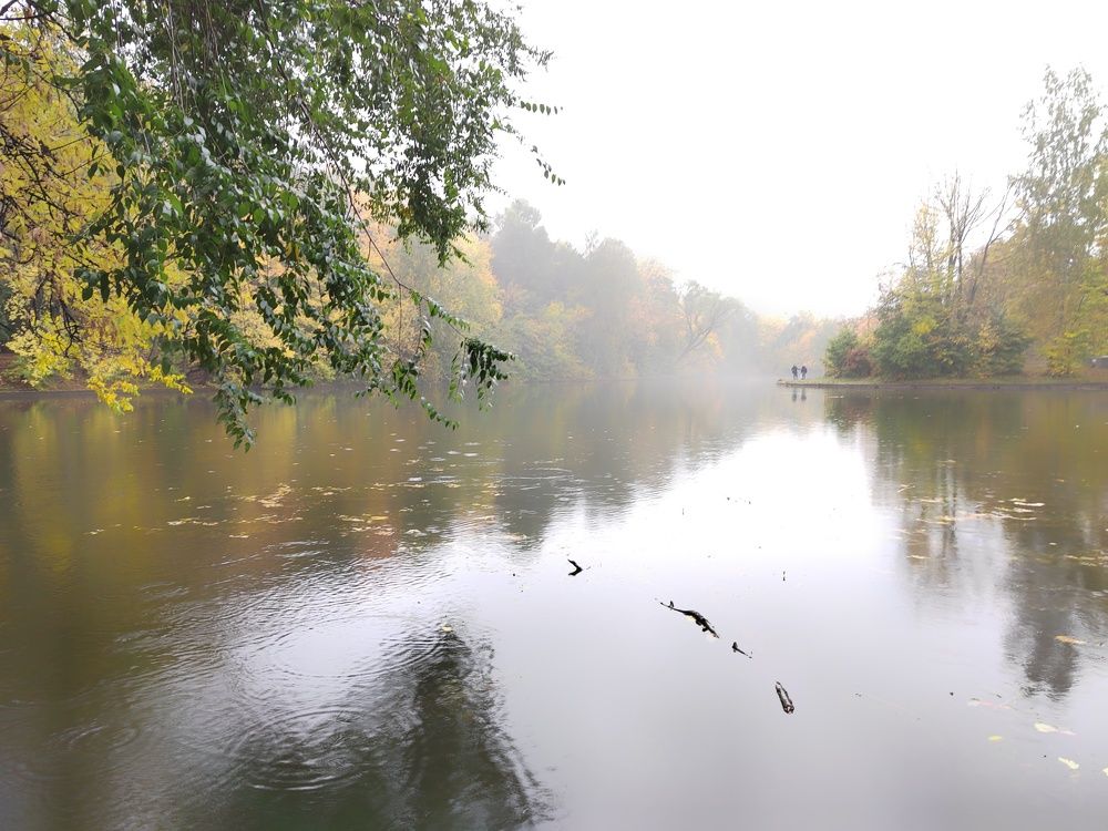 Photograph by Marina