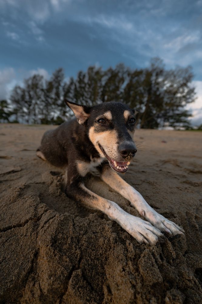 Фотография автора Devanand K S