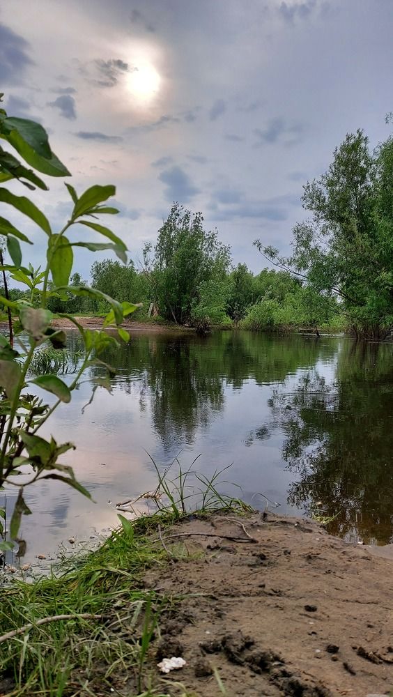 Photograph by Евдокия Николаева