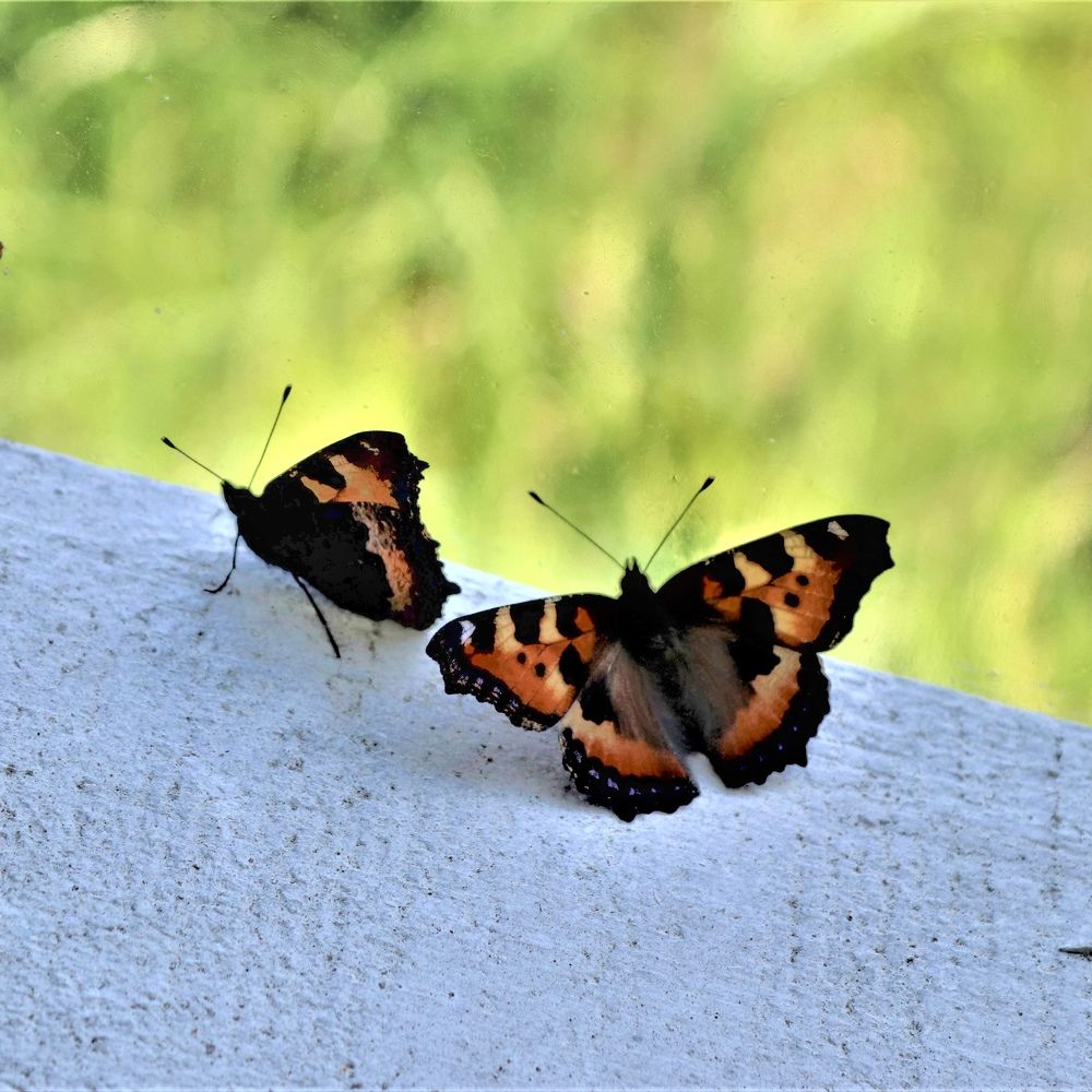 Photograph by Ирина Садовникова