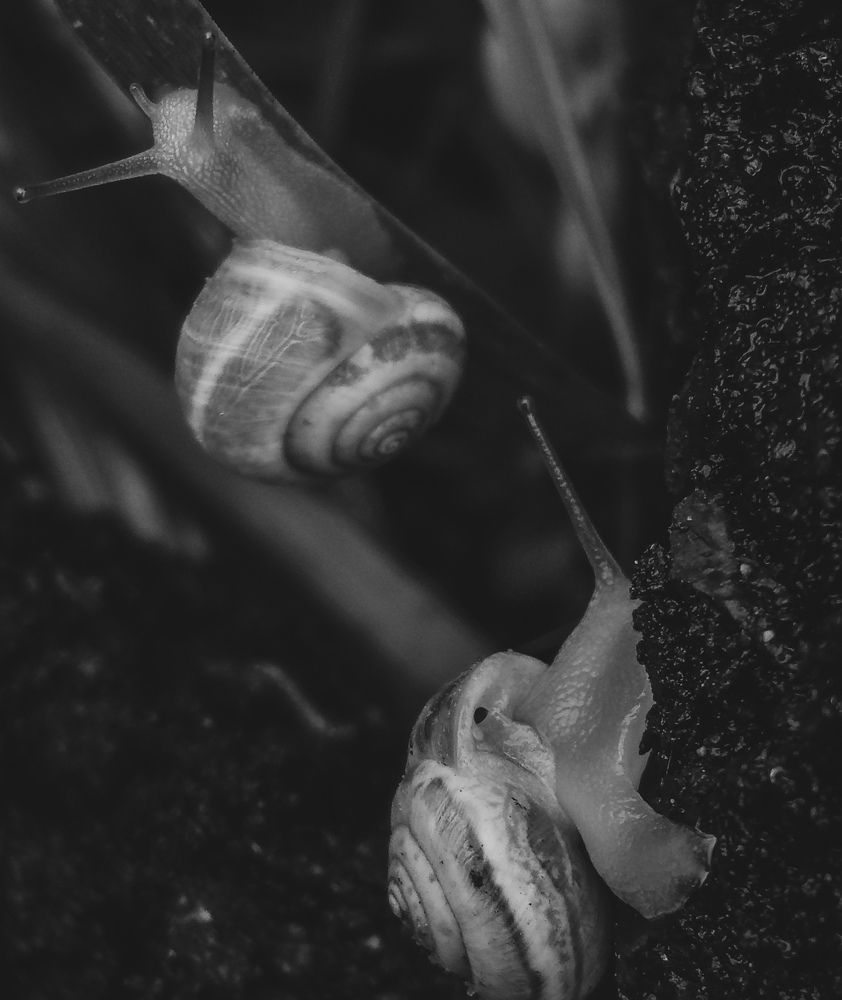 Photograph by Елена (Мори) Кузнецова