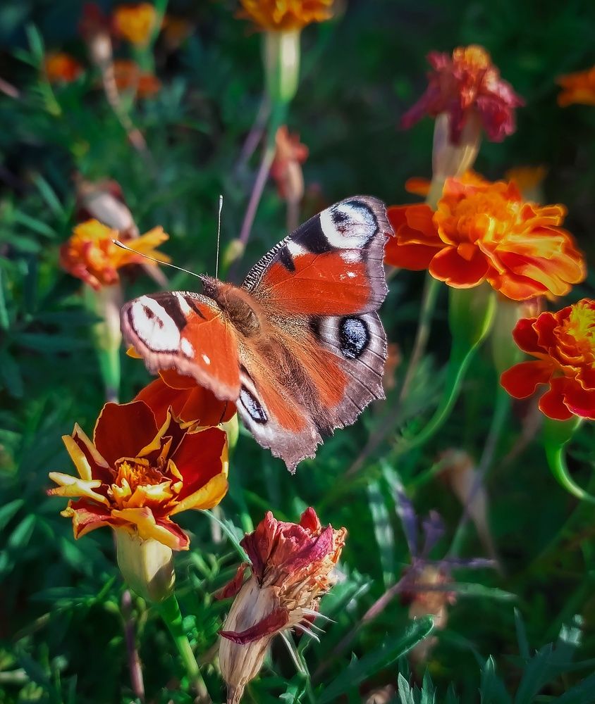 Photograph by Александр Панин