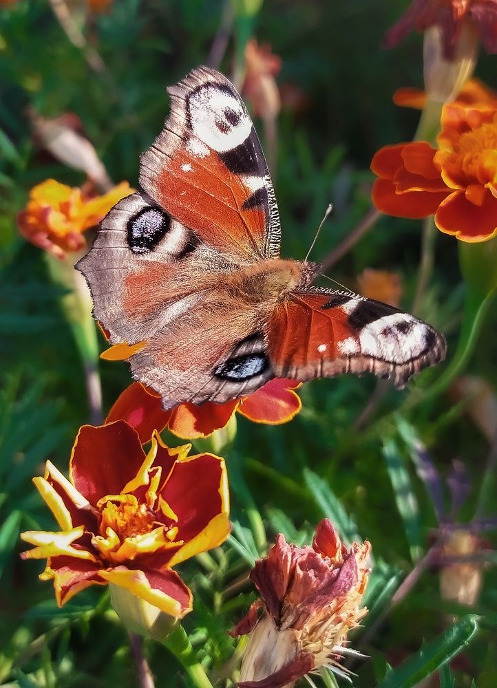 Photograph by Александр Панин