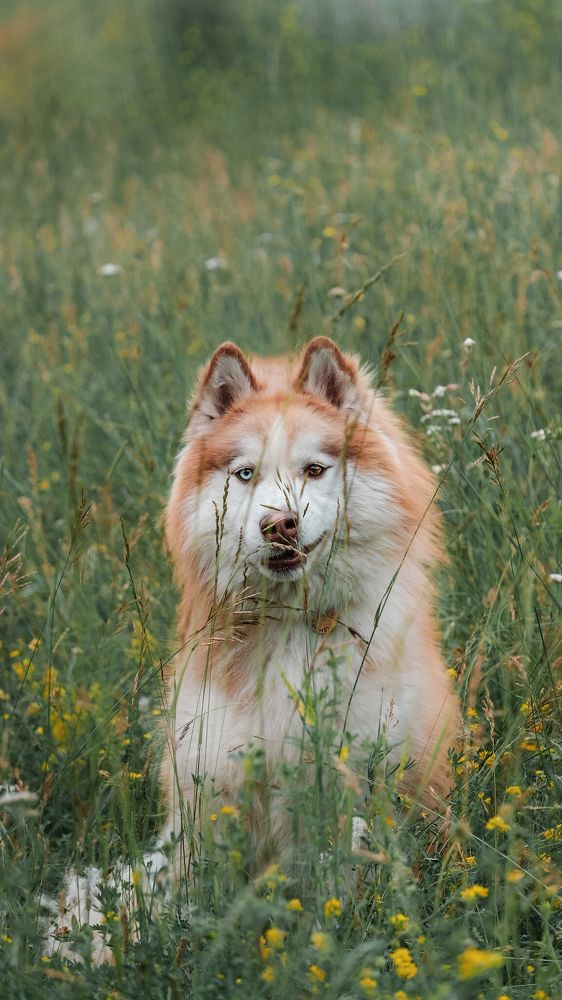 Photograph by Валерия Васина