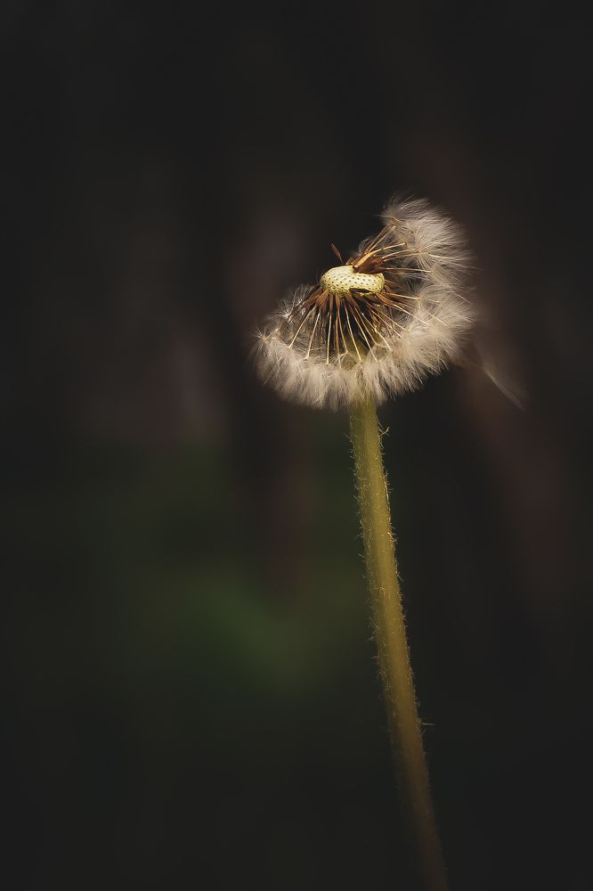 Photograph by Mina Ghasemifard