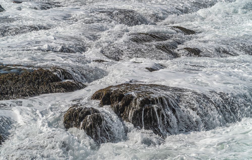 Photograph by Савчук Сергей