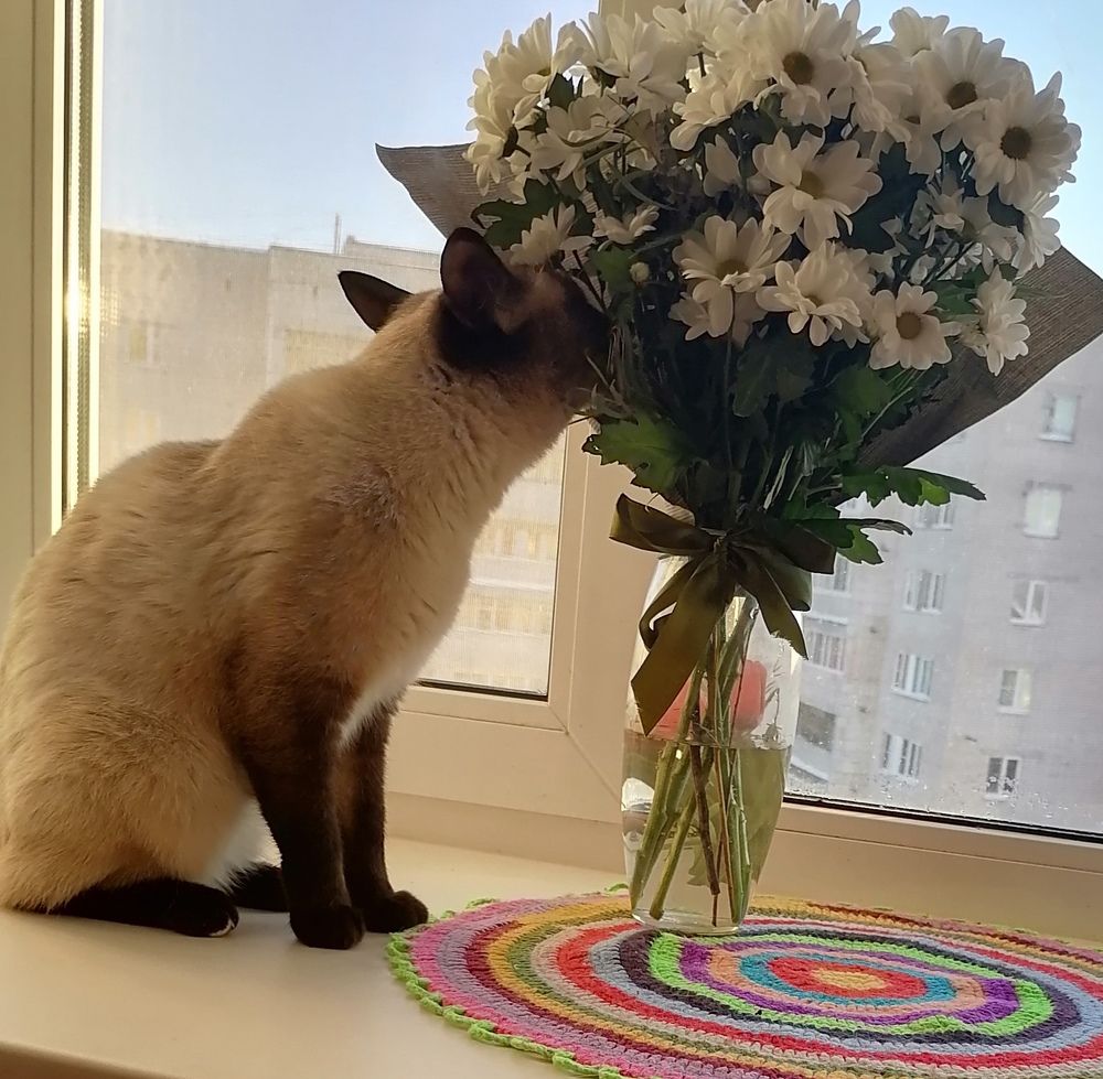 Photograph by Татьяна Бешенкина