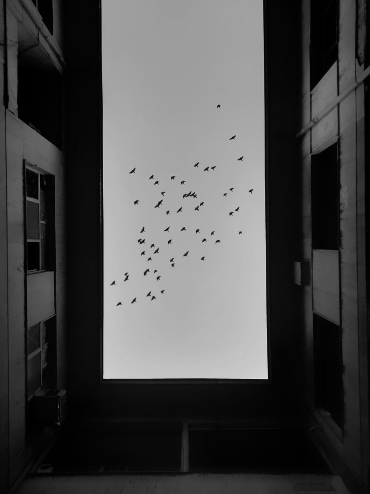 Photograph by Masoumeh Rahimi