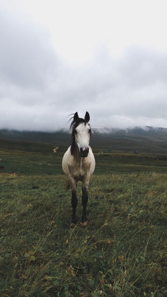 Photograph by Igor Lapshin