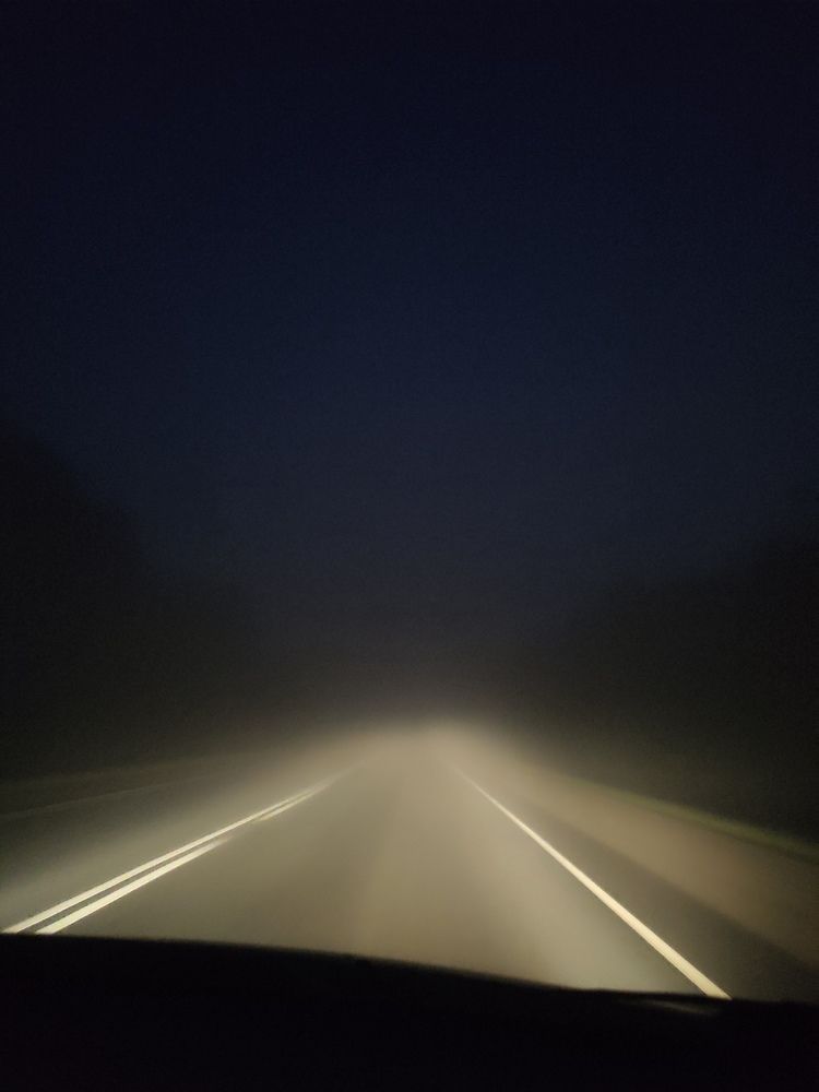 Фотография автора Васильева Ирина