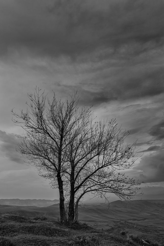 To Dream and to Live...