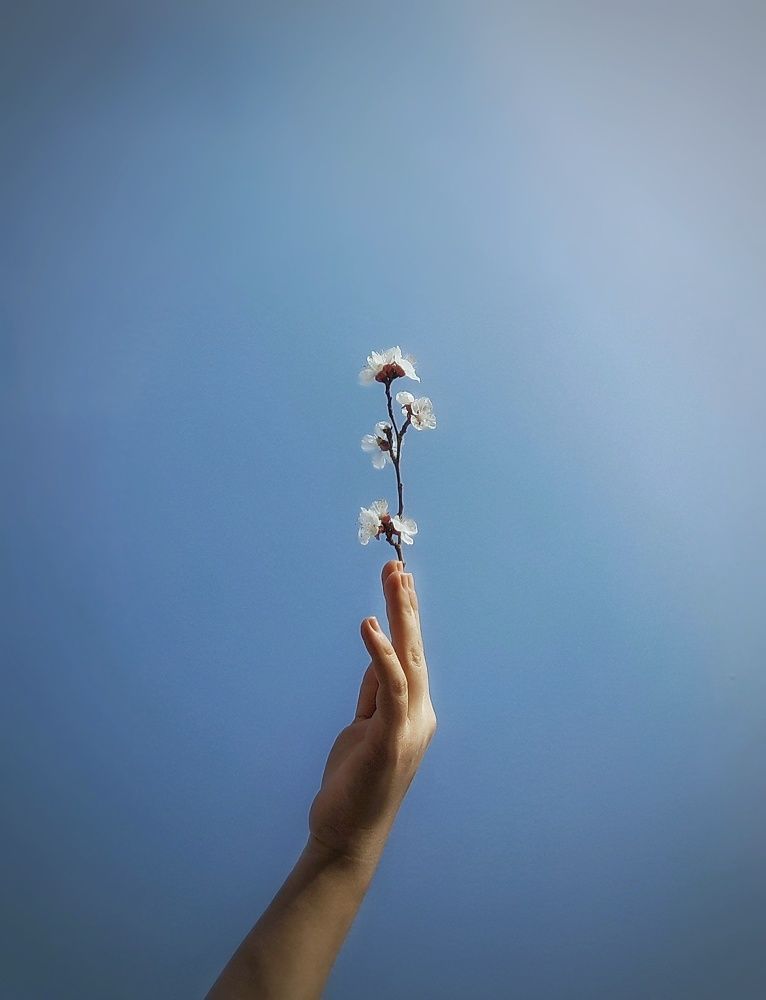 Photograph by Marzieh Najari