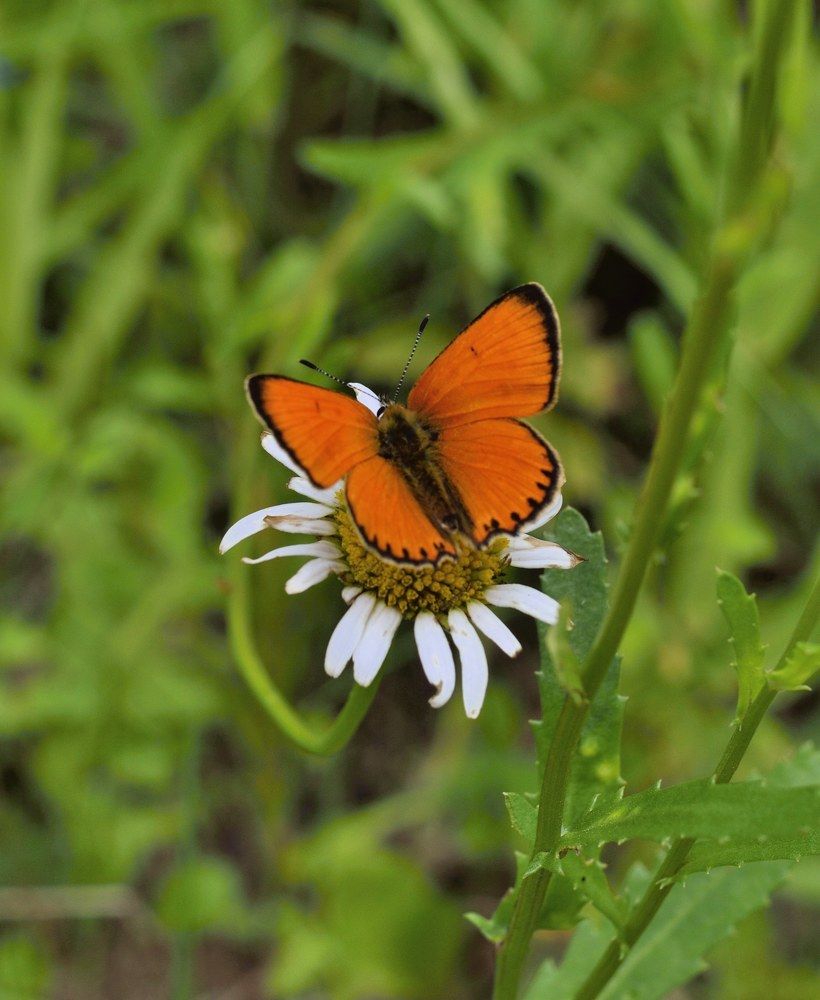 Photograph by Vyacheslav Ushakov
