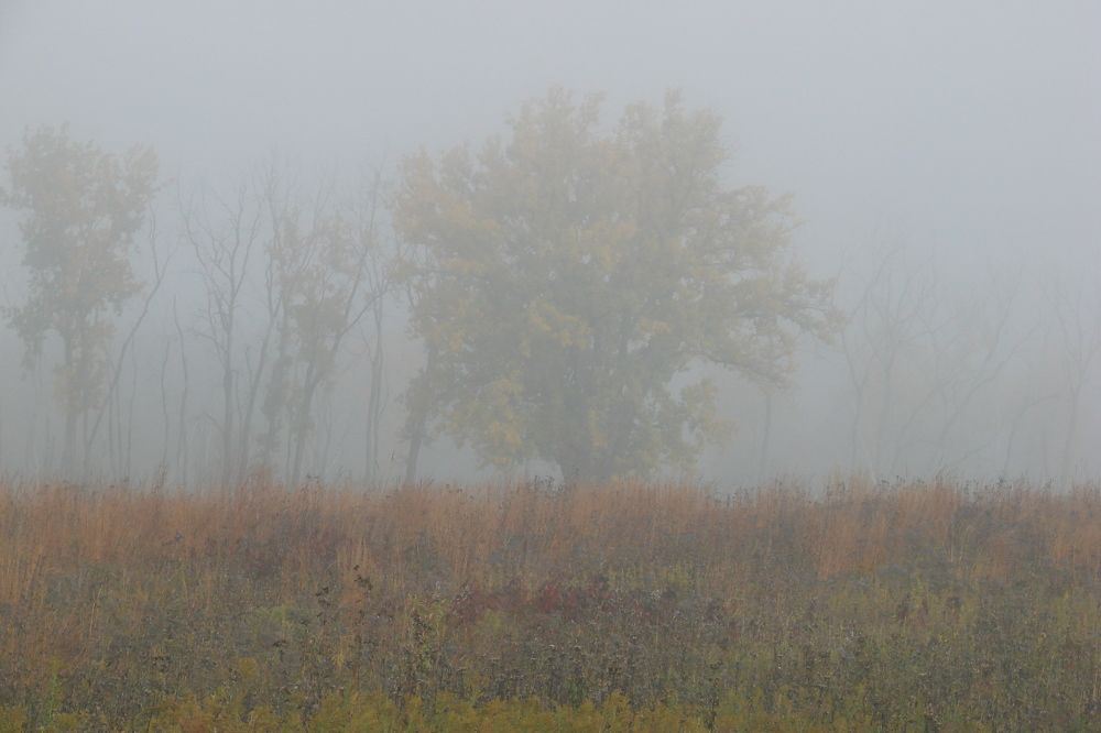 Photo #9298720
