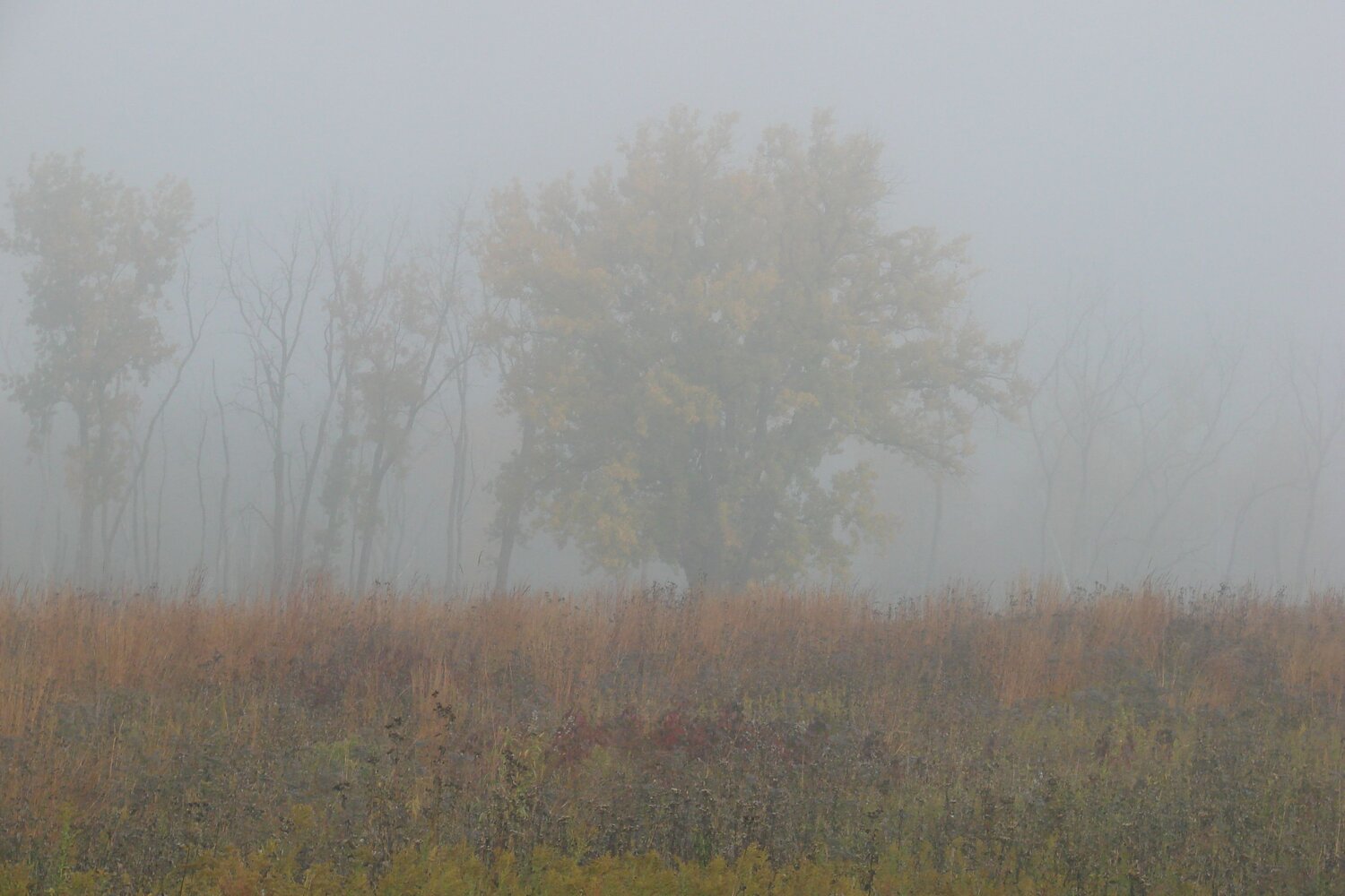 Photo #9298720