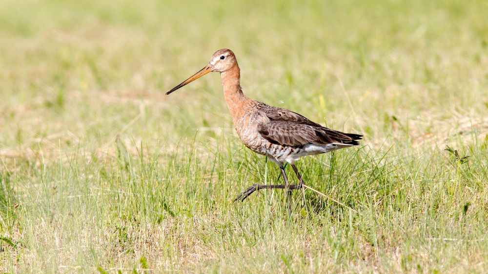 Photograph by Александр