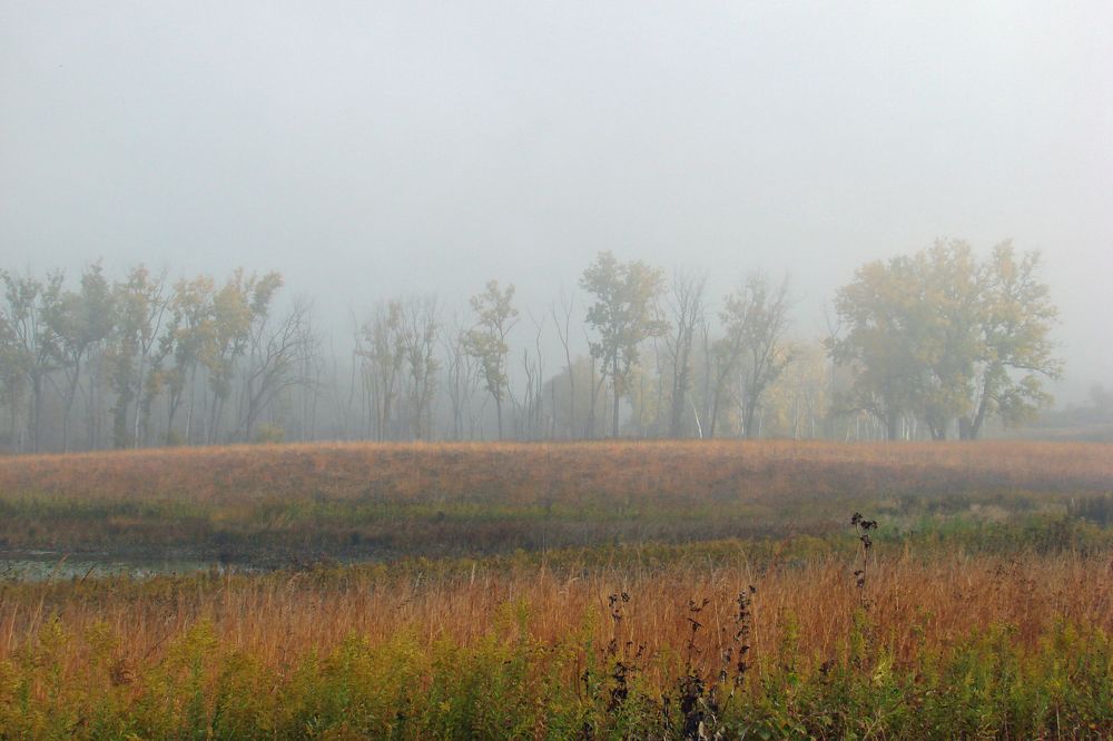 Photo #9298723