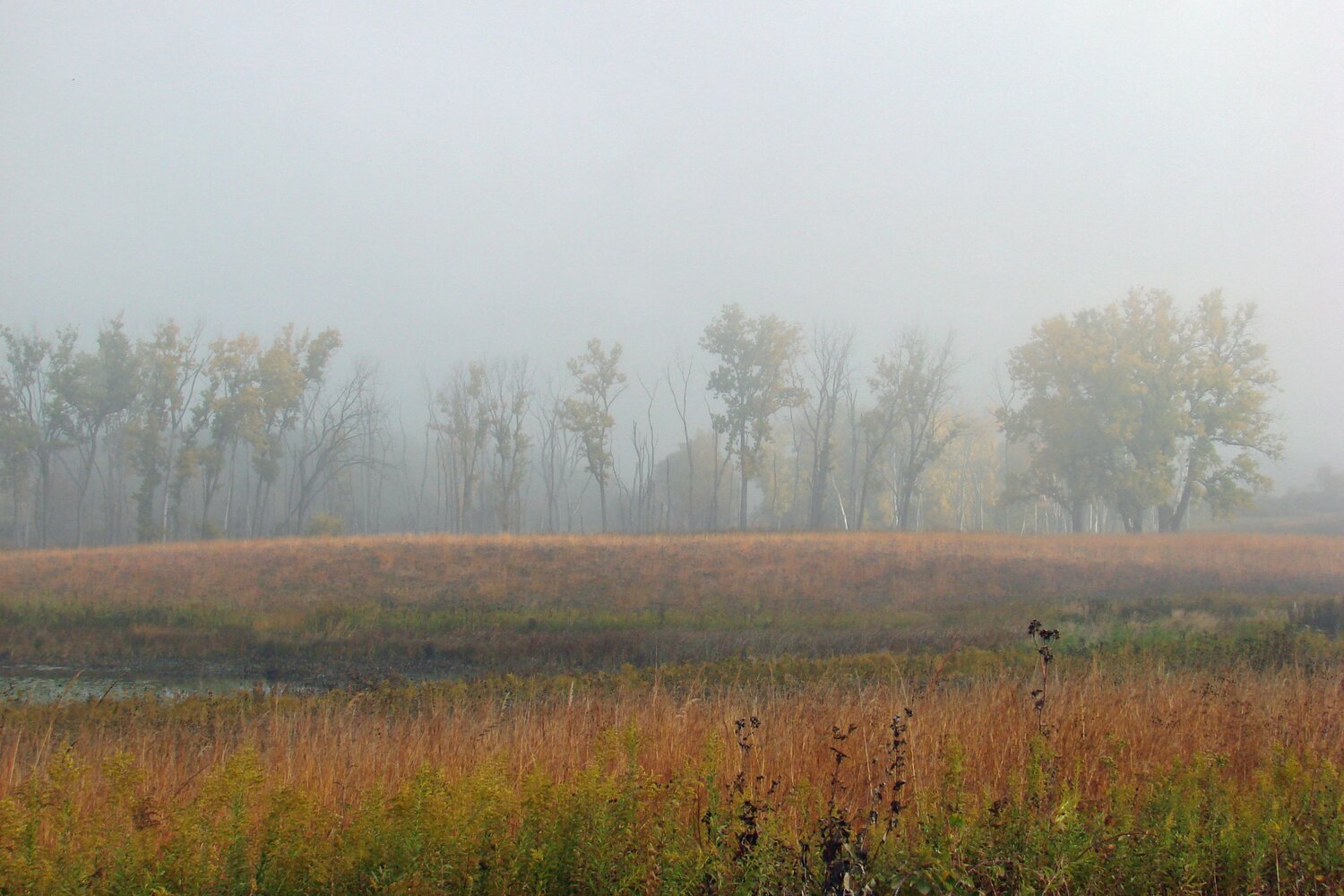 Photo #9298723