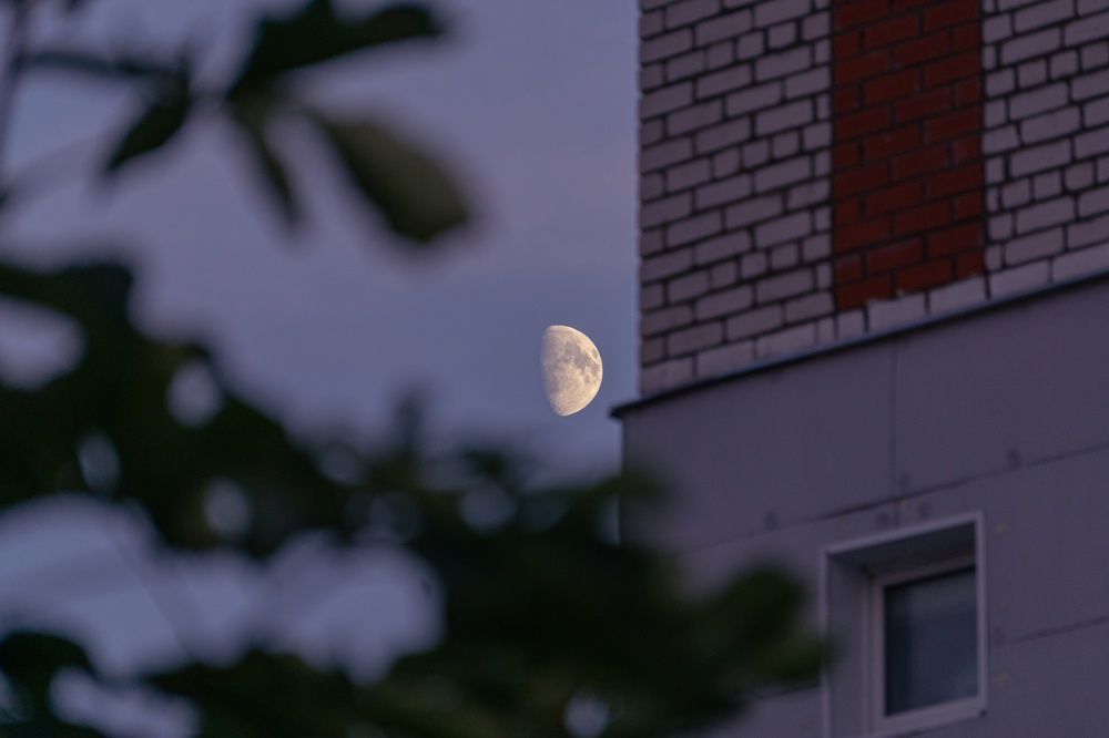 Photograph by Александр Ходакин