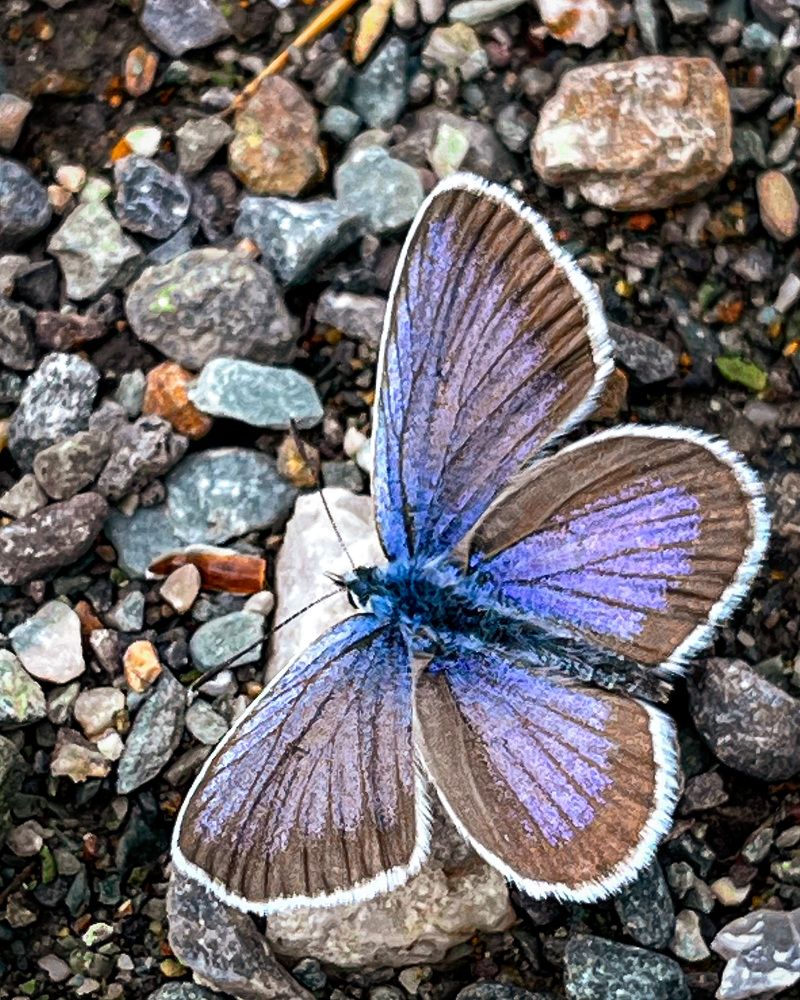 Photograph by Юлия Андреева