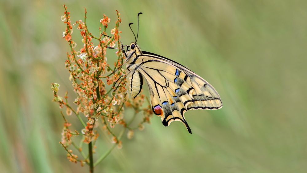 Фотография автора Александр