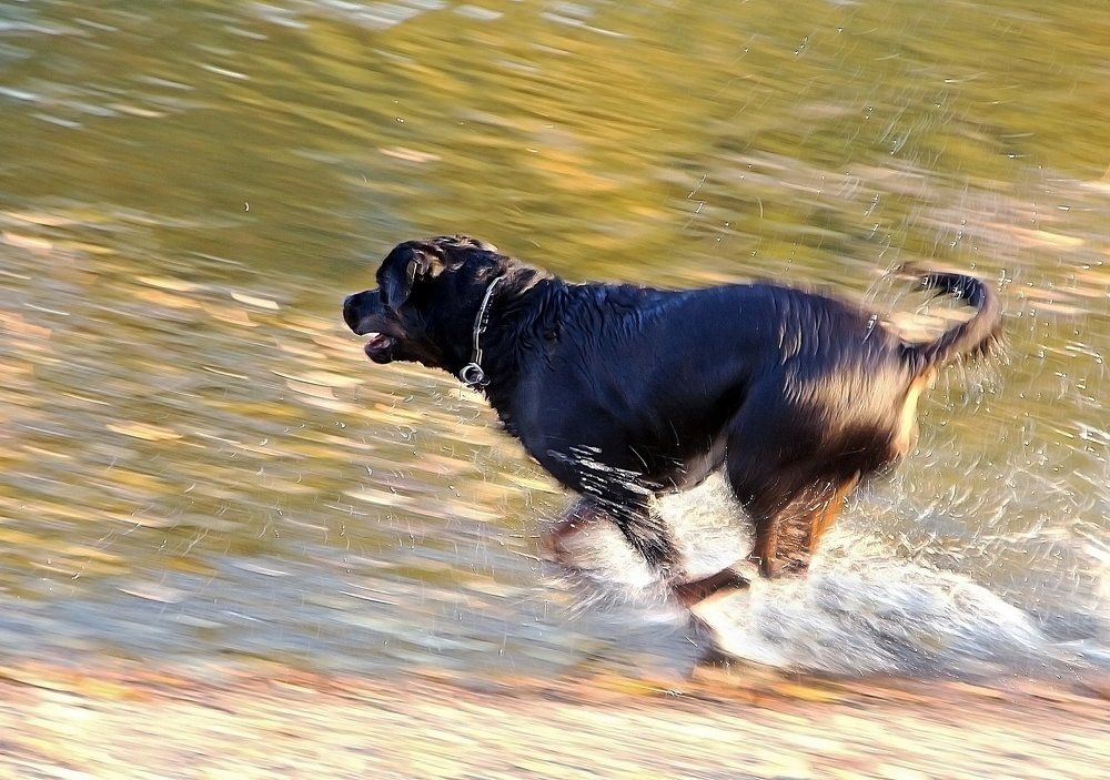 Фотография автора Александр