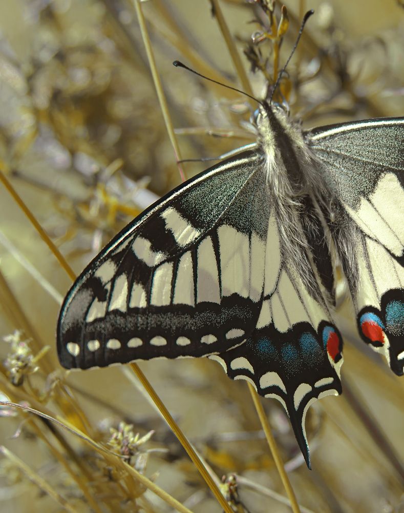 Photograph by Алексей Филатов