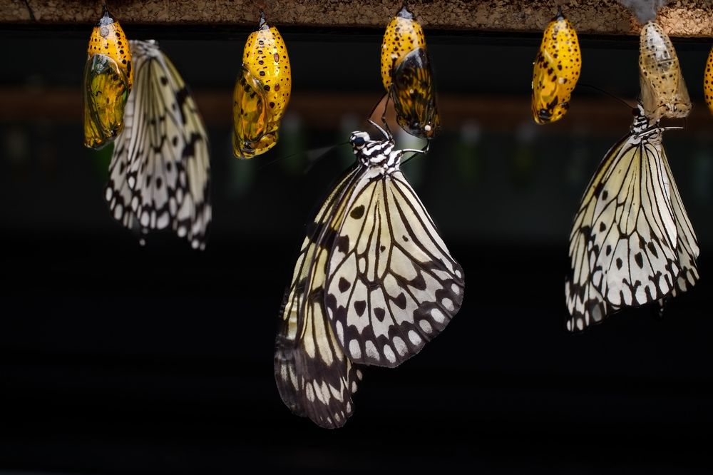 Photograph by Manuel