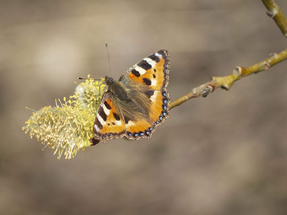 Photograph by Agita Leimane