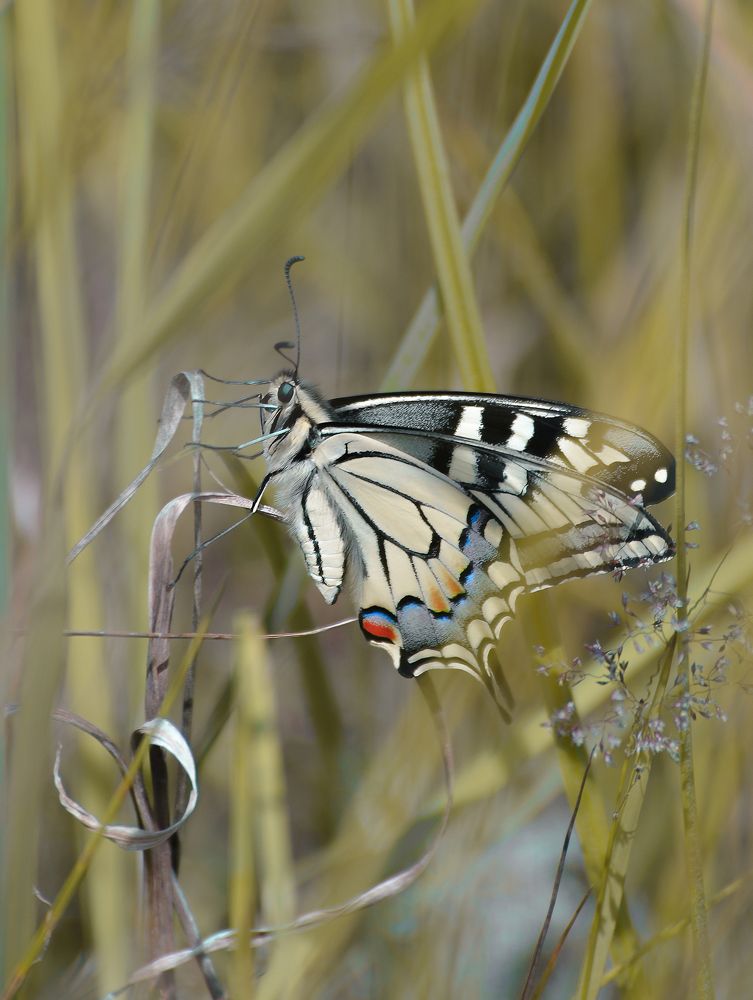 Photograph by Алексей Филатов