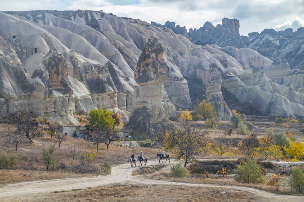 Photograph by Савчук Сергей