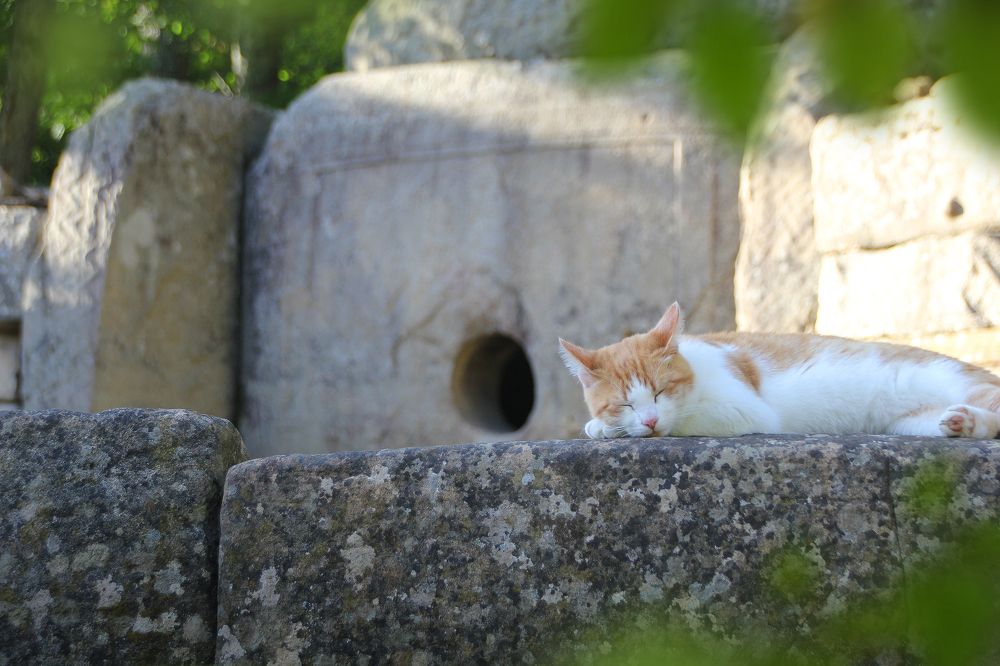 Photograph by Алексей Филатов