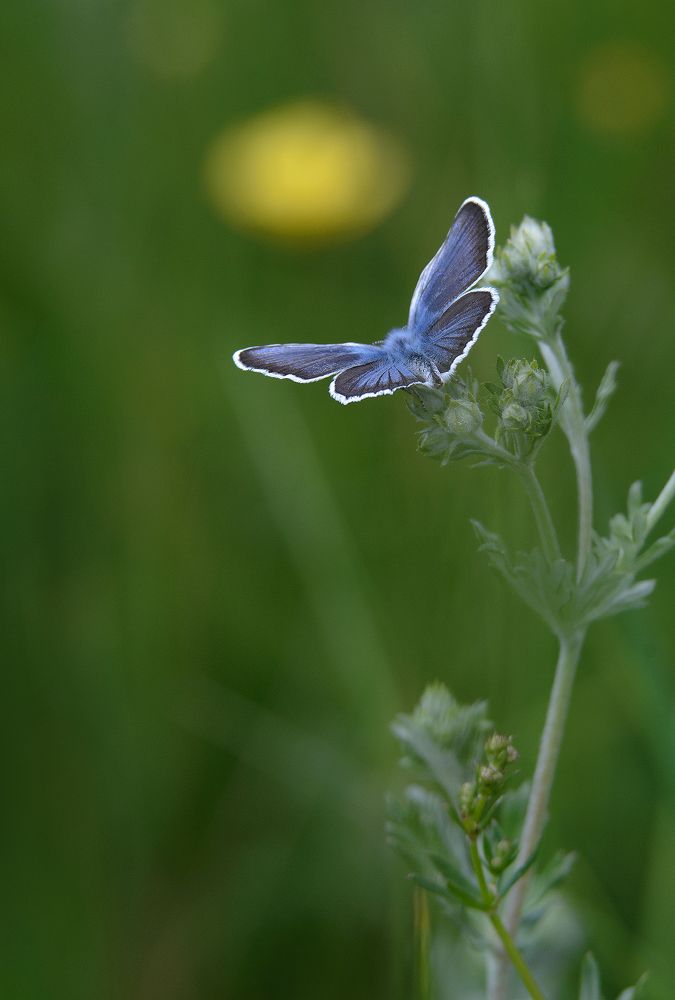 Photograph by Алексей Филатов