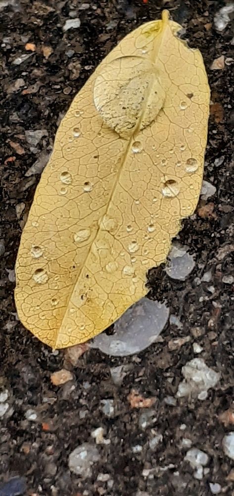 Photograph by Евгения Ульянова