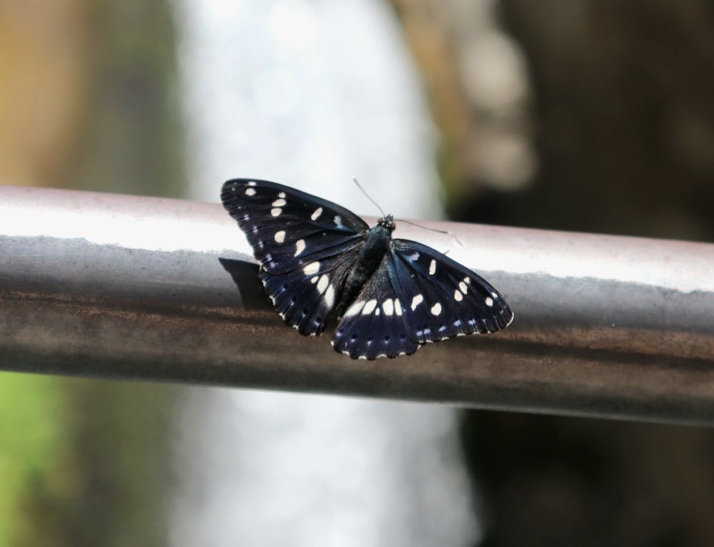 Photograph by Алексейчик Дмитрий