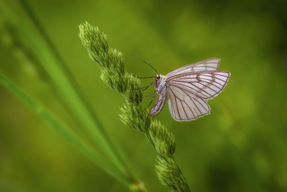 Photograph by Марина Мурашова