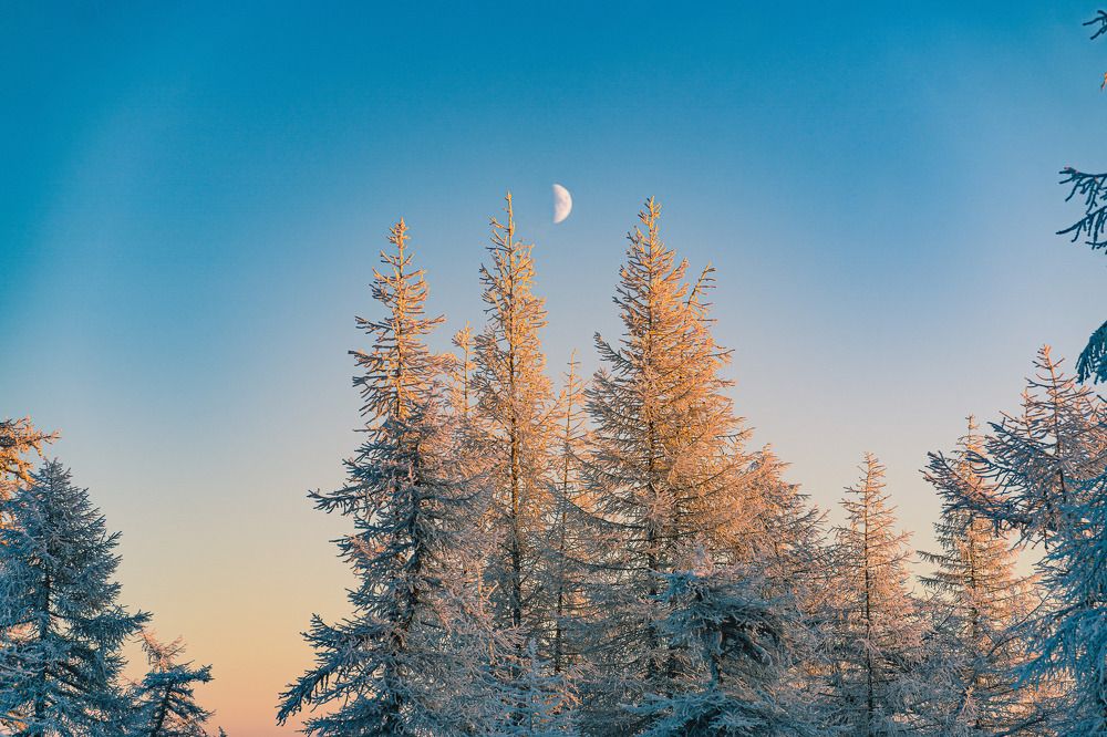 Photograph by Галина Искандарова