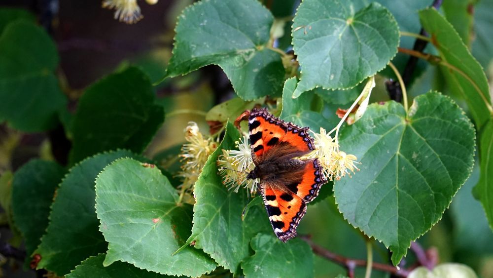 Photograph by АНДРЕЙ ОБРЯДОВ