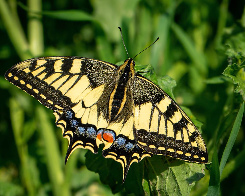 Photograph by Анна