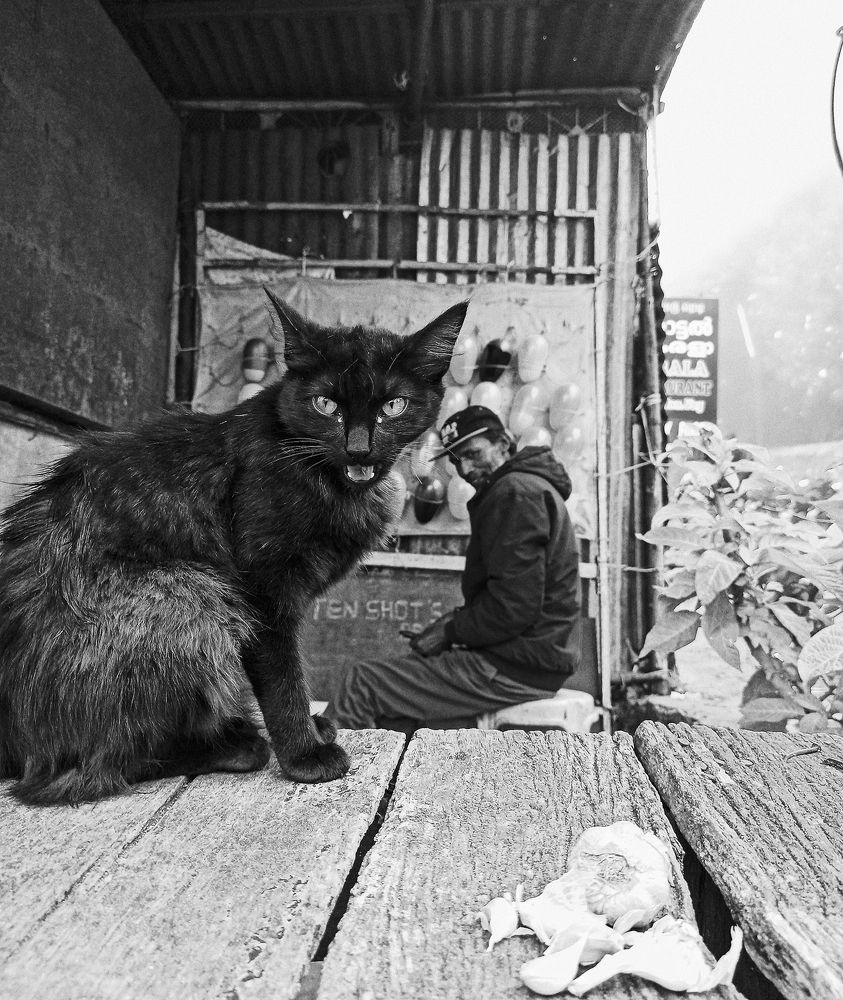 Фотография автора ARJUN.K