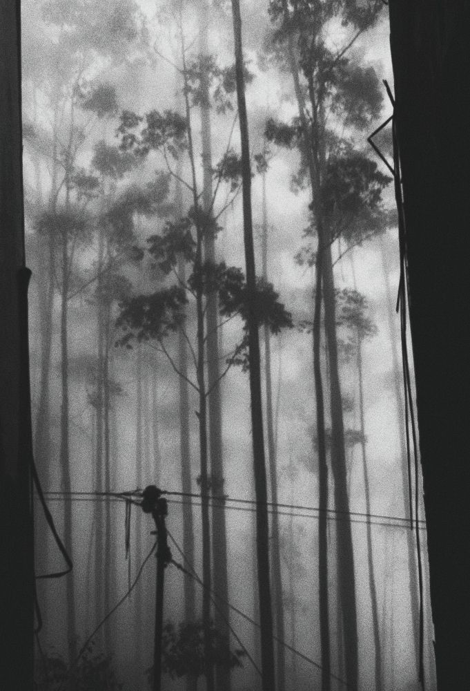 Фотография автора ARJUN.K