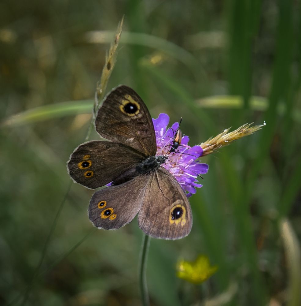 Photograph by Виктор Рыков