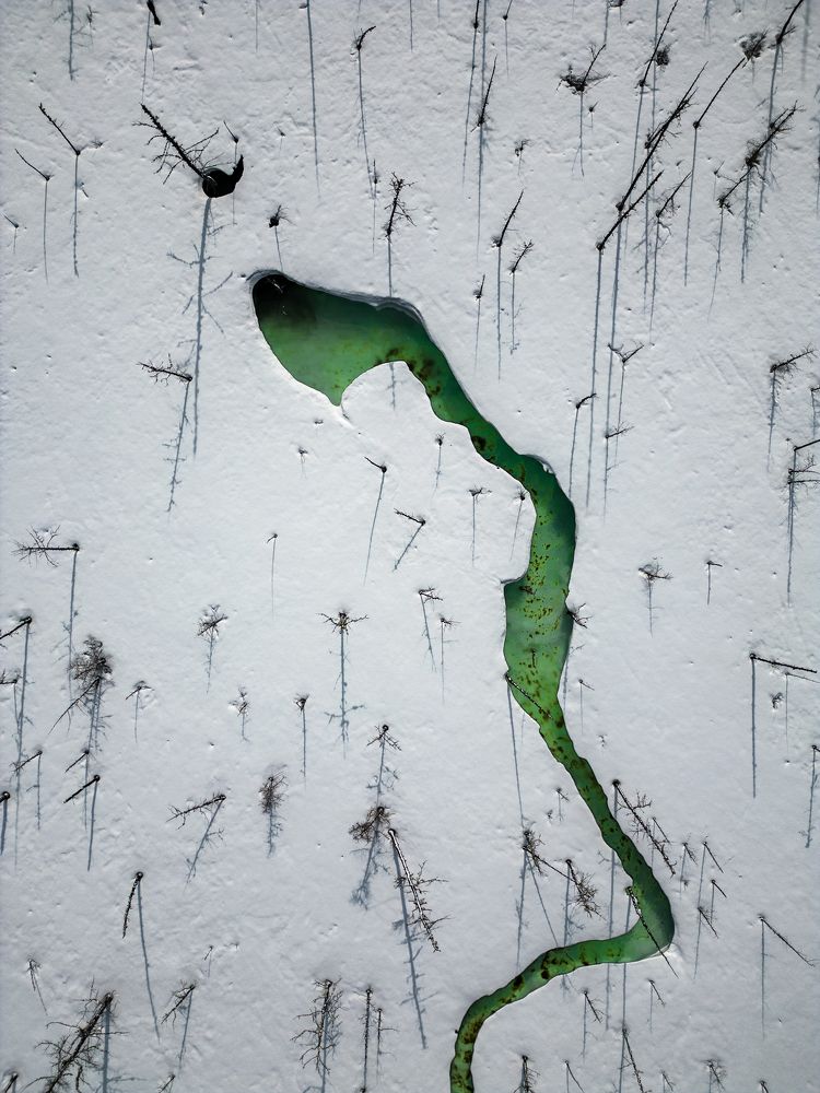 Photograph by Полякова Наталия