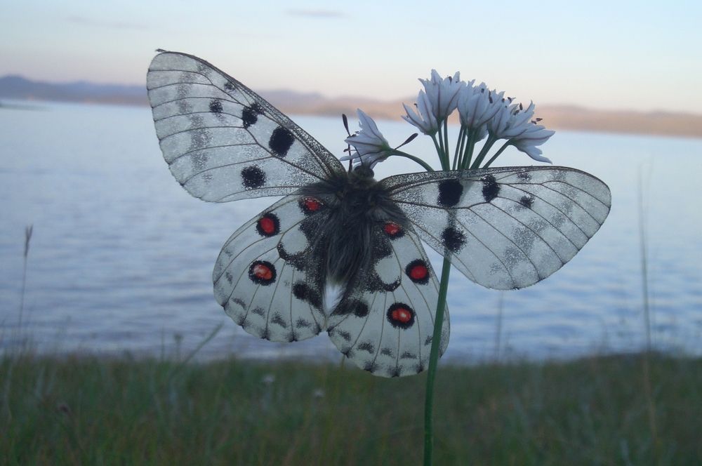 Photograph by Ольга