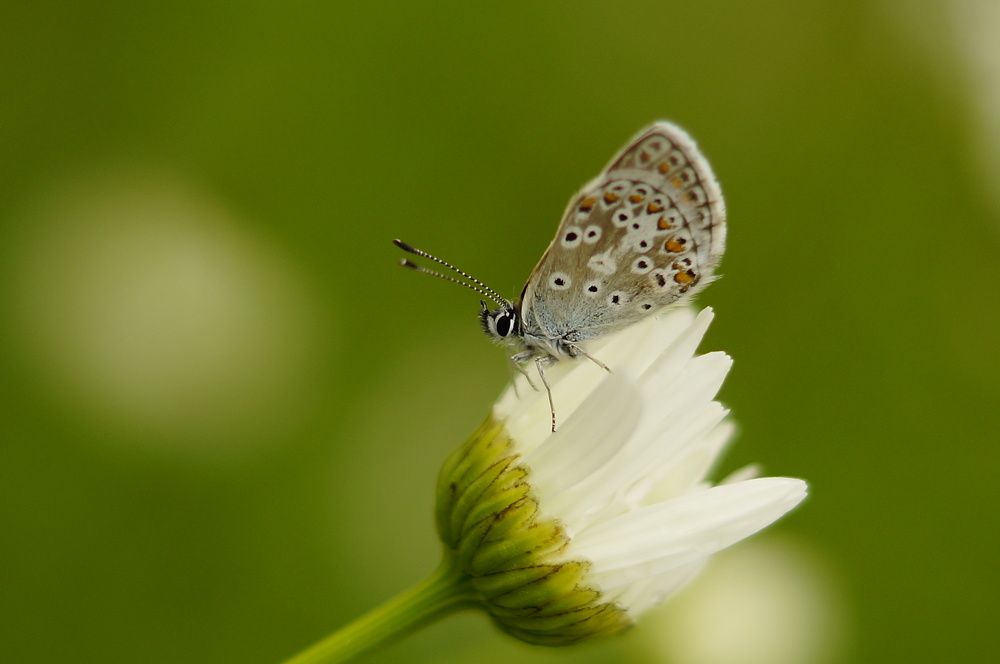 Photograph by Ольга